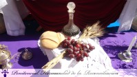 Corpus Christi 2011 (15)-PJDiez.jpg