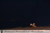 Romería Venida 2011 (9)-PJDiez.jpg