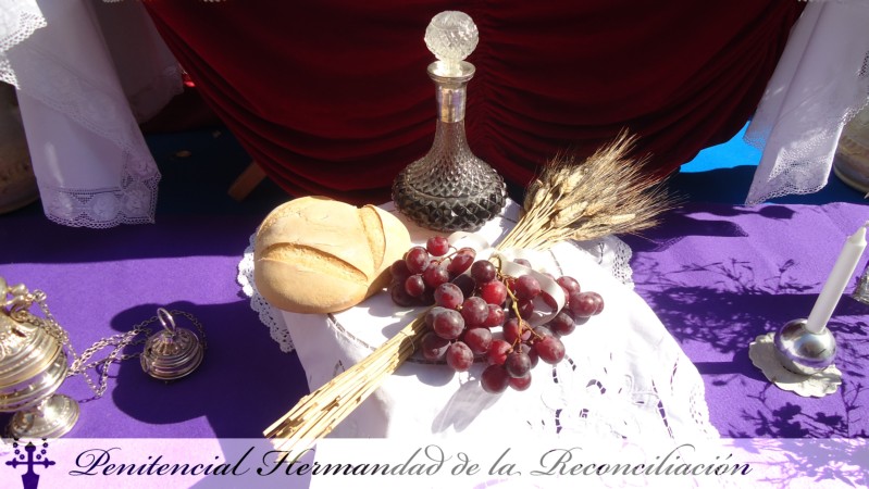 Corpus Christi 2011 (15)-PJDiez.jpg